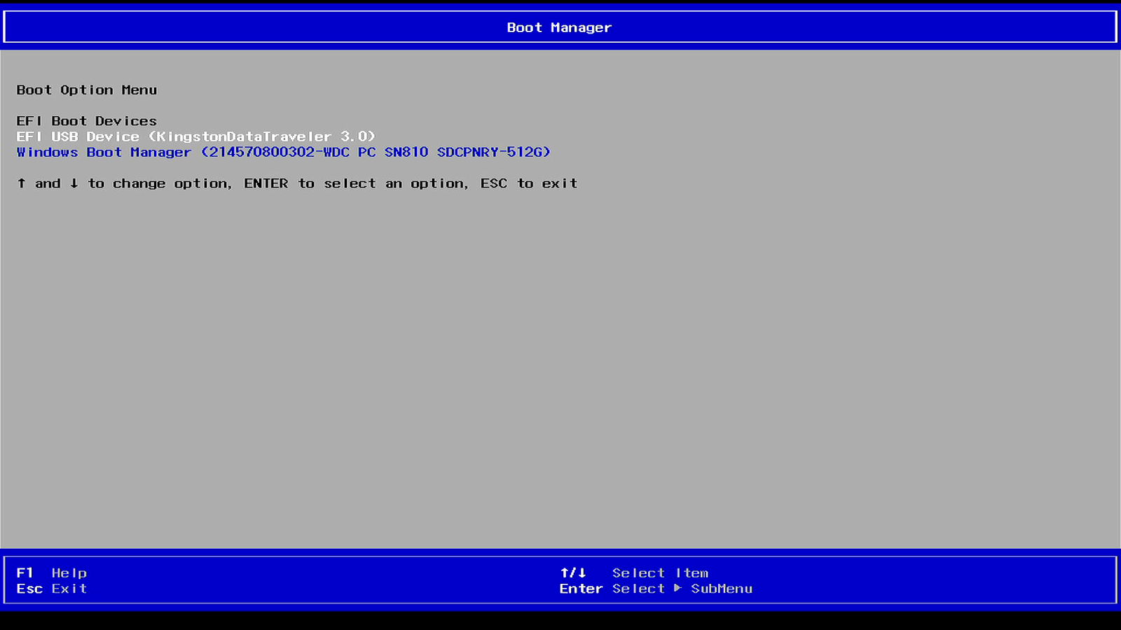 The Boot Manager menu with the EFI USB Device selected.